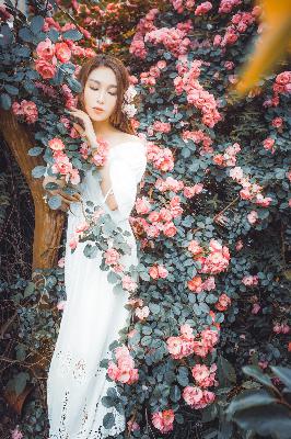 高清视频免费观看